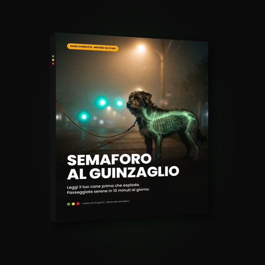 Semaforo al Guinzaglio